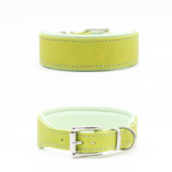 Fettleder Halsband Lime